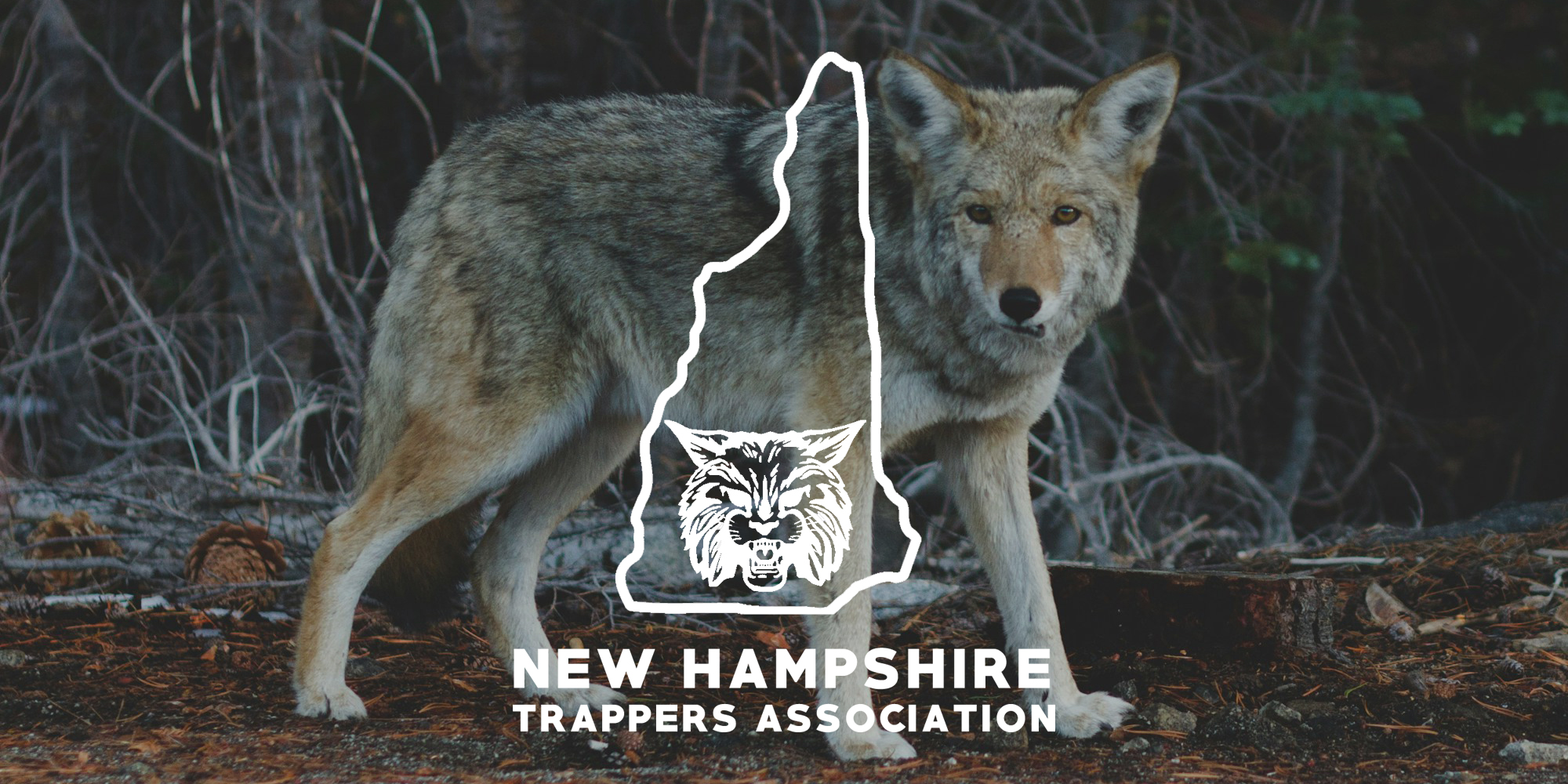 coyote with NHTA logo