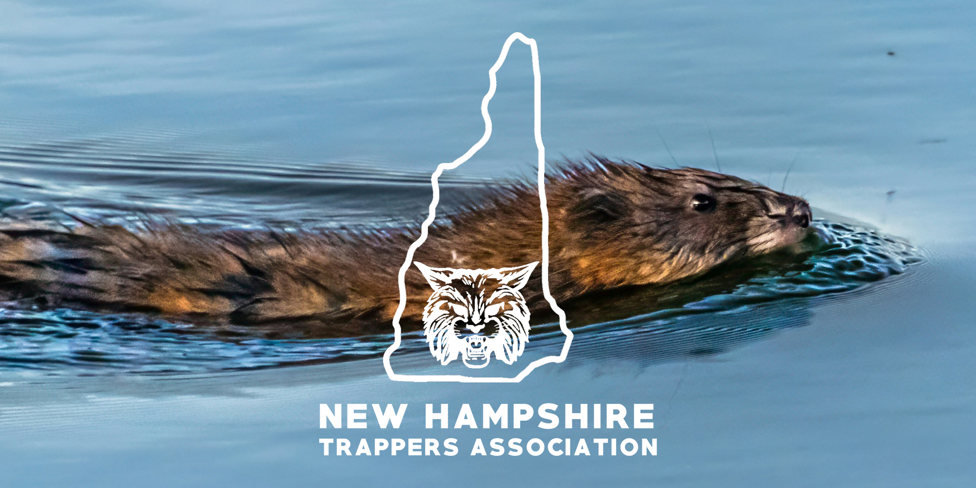 NHTA logo with muskrat swimming in water.