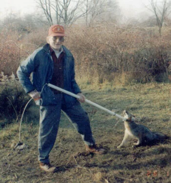  Jack with a fox being released from a trap via a catch-restraint pole. 