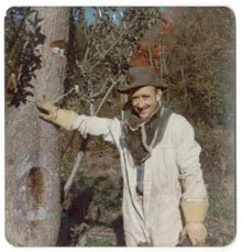  Harris with a bee tree Oct 1974. 