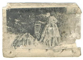 Welcome to the new NHTA news-feed!