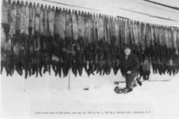  Malcolm with his renowned Fisher catch. 