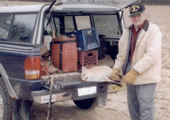  Jack returning from the trapline with a red fox. 