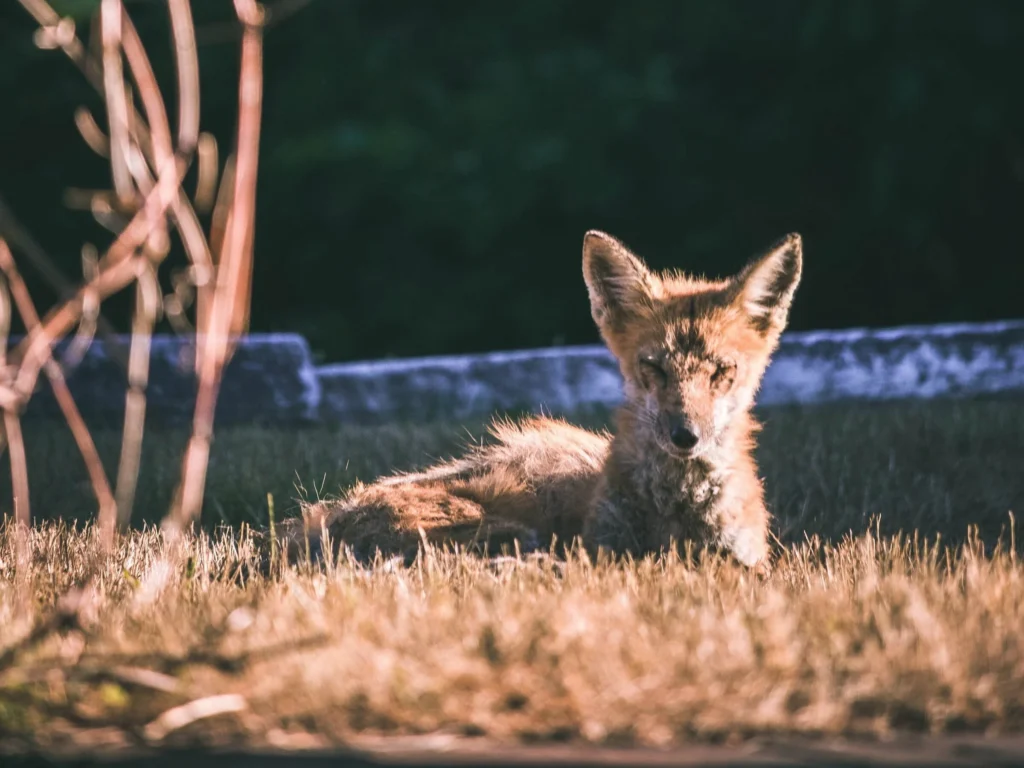jack-ward-sQTEhzqkzGg-unsplash